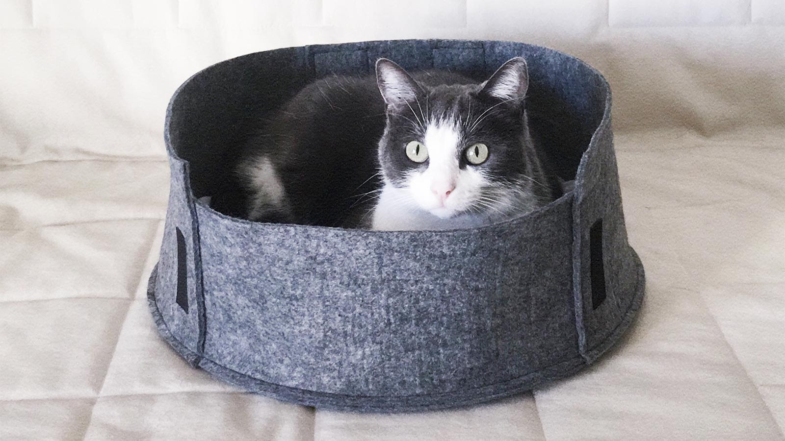 Diy Panier Pour Chat En Feutrine Mawilo Fr