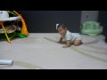 √1000以上 8ヶ月 赤ちゃん 遊び方 197580-8ヶ月 赤ちゃん 遊び方