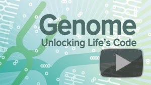 Genome Unlocking Life S Code Uctv Blog