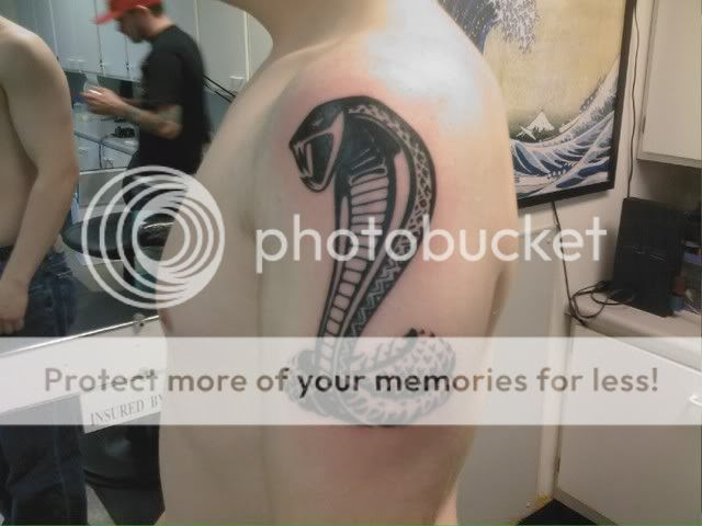 My Cobra tattoo picture by