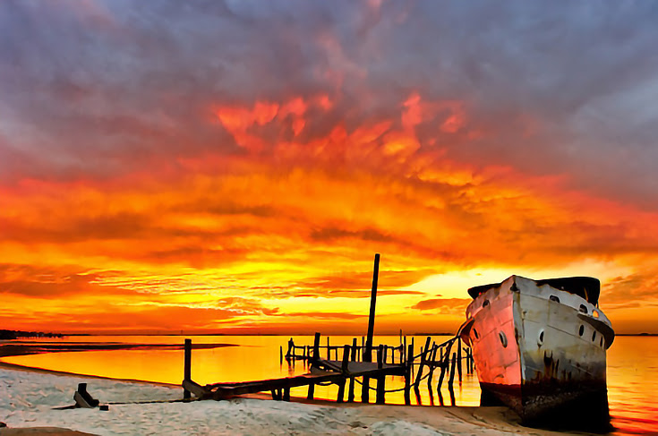 Warm Color (Red and Orange)