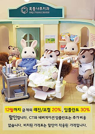 목동나무치과 가격표