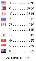 visitors by country counter