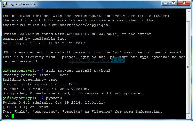 Python REPL