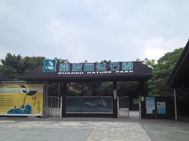關渡老街-自然公園賞鳥