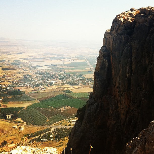 The Arbel
