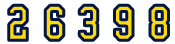 Free Web Site Hit Counters