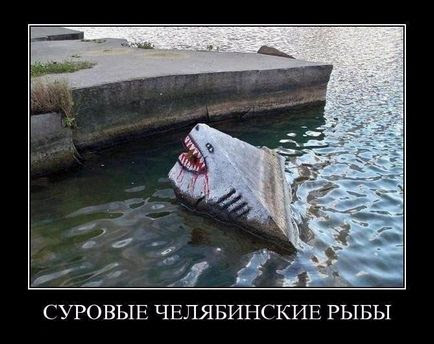 Imagini Haioase Despre Pescuit 50 Poze Poze Haioase Si Umor
