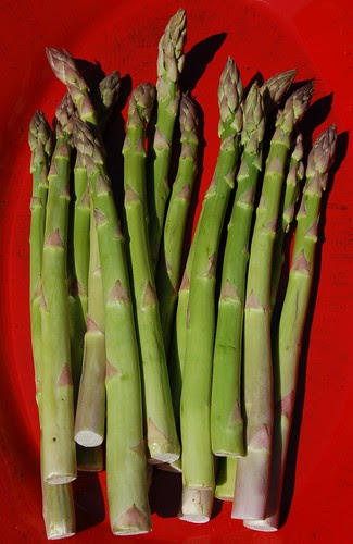 Fresh asparagus
