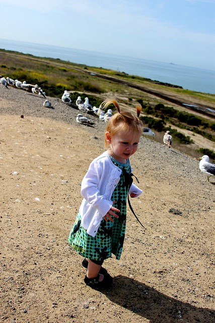 Rest Stop with Presley March 2012 7