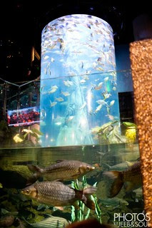Trip to Aquaria 2013
