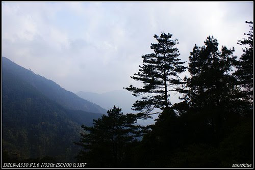 DSC00750_nEO_IMG