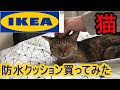 上 ikea 猫 クッション 104410-Ikea 猫 クッション