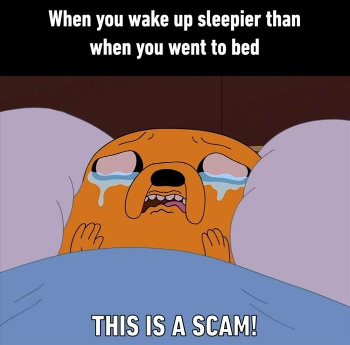 dailyhaha funny pictures