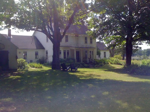 Elmwood 