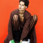 imagebam.com