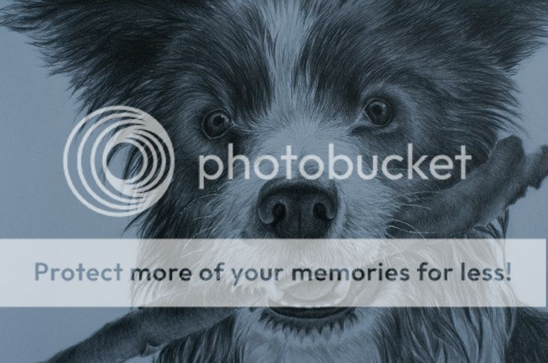 Mijn eerste tekeningen van honden! - SchilderenEnzo