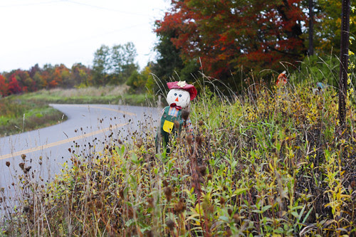 Vermont Fall Classic Populaire