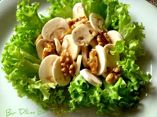mantar salatasi