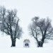 photographs, photography, nature, landscapes, beautiful, ethereal, magical, German, Kilian Schönberger, Brothers Grimm, fairytale