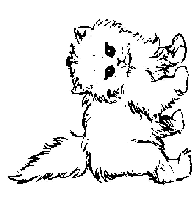 kleurplaat baby poezen  clip art library
