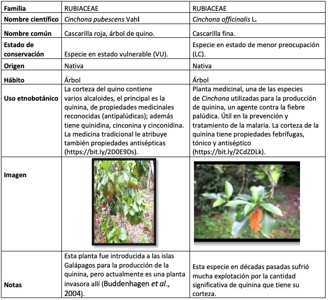 Revista Espacios Vol 40 Nº 16 Ano 2019
