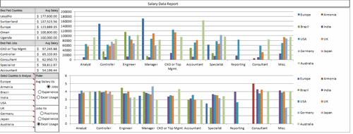 Dashboard to visualize Excel Salaries - by  Juwin  - Chandoo.org - Screenshot