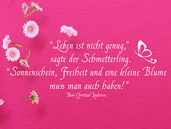 sprüche geburtstag katzen