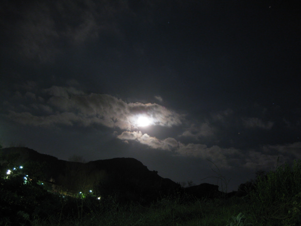 http://25.media.tumblr.com/tumblr_lw3y7glPle1qz4k2lo3_1280.jpg