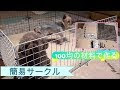 最高のコレクション フェンス 作り方 犬 ケージ 手作り 100 均 149866