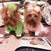 Elizabeth "Lizzie" Taylor & Piper Alexus