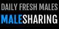 malesharing