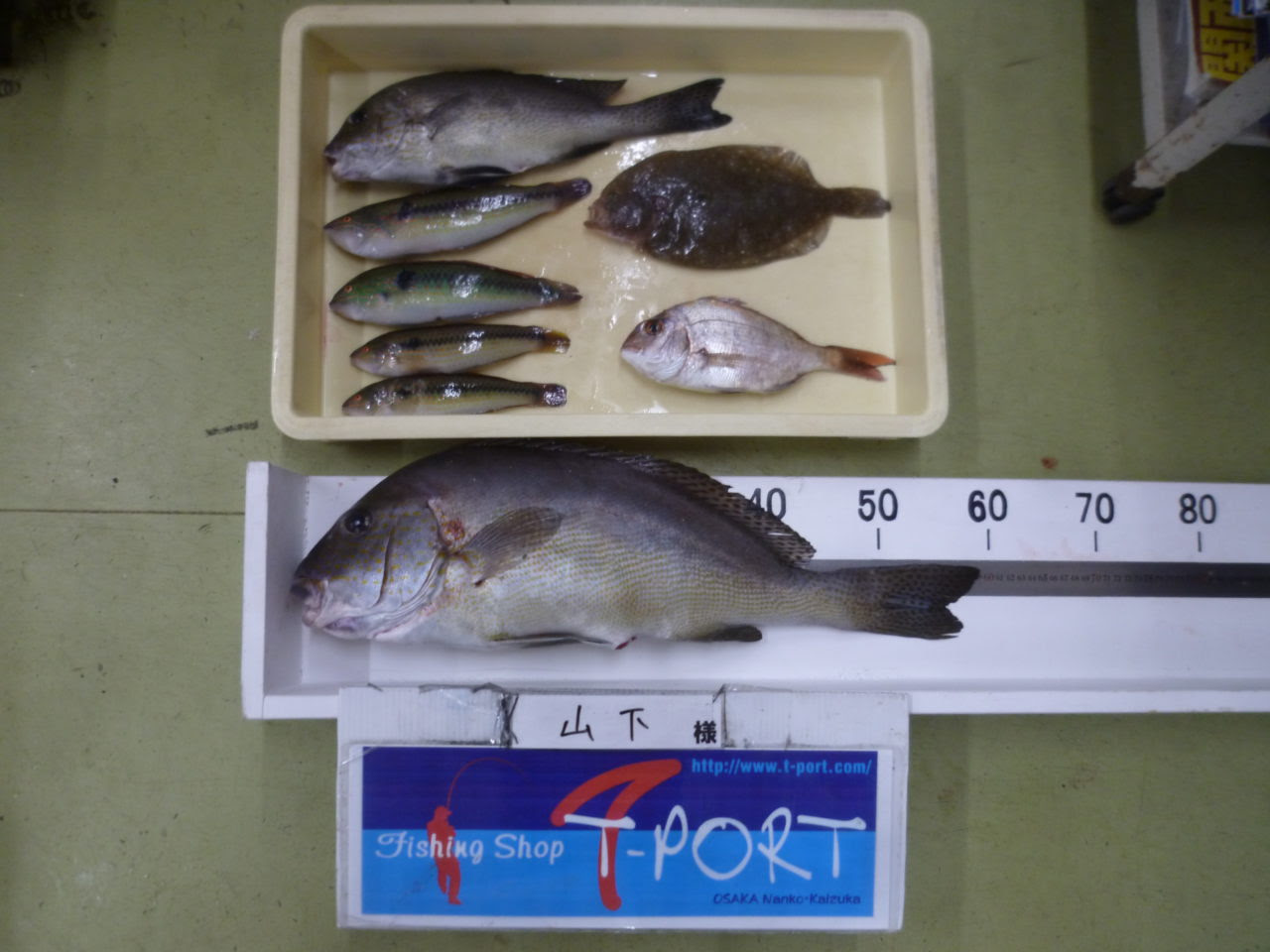 串本で投げ釣り 魚種多彩 フィッシングｔポート 大阪 南港 貝塚 千葉県木更津にある釣具店