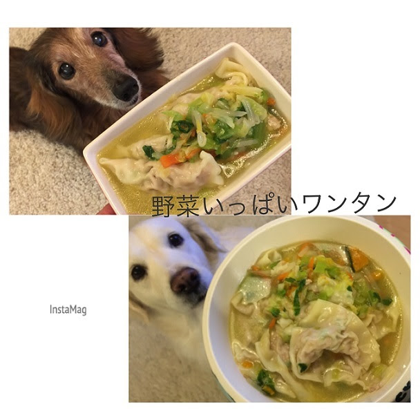 犬ごはんレシピ お野菜いっぱいワンタンスープ 幸せのテーブル