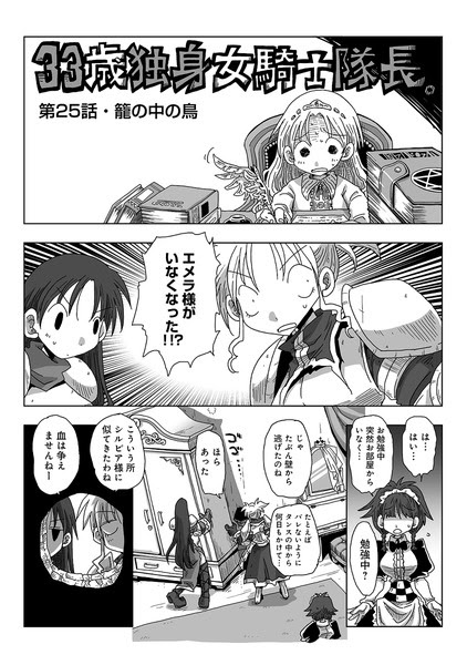 ３３歳独身女騎士隊長 ２５ ３０話 Pixiv年鑑 B