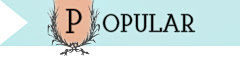 POPULAR SIDEBAR ICON2
