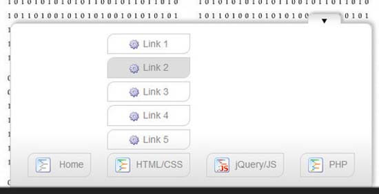 DropdownMenu-13