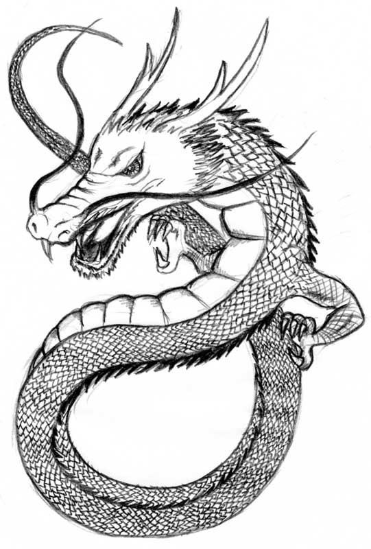 動物の画像について 最新のhd龍の絵 イラスト