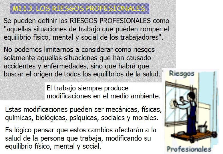 Diapositiva11