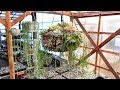 コンプリート！ 多肉植物 置き場所 890510-多肉植物 置き場所 夏