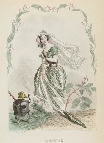 Sensitive - Les Fleurs Animées - JJ Grandville