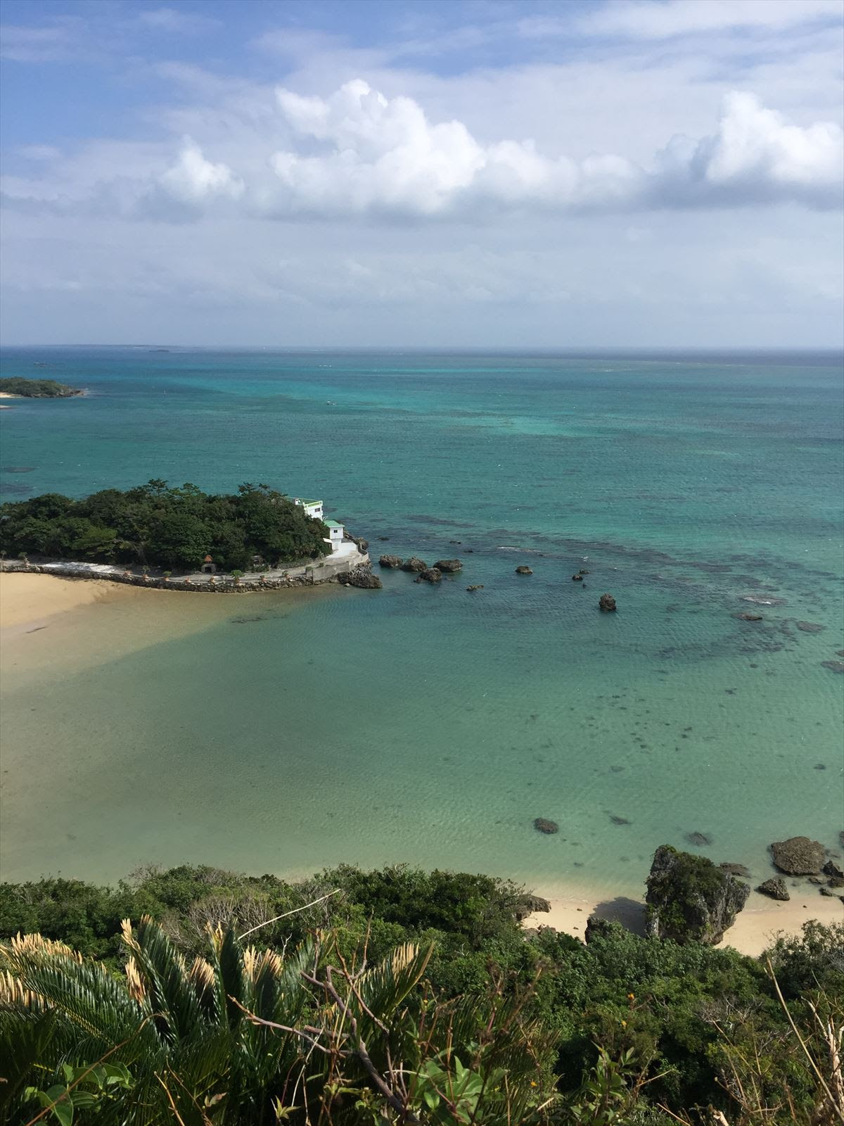 西湘エギング 沖縄