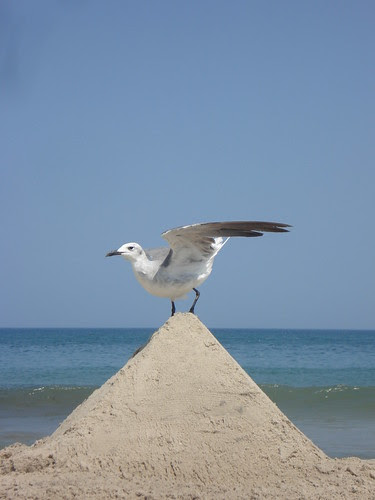 Pyramid