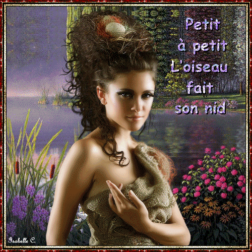 Petit à Petit Loiseau Fait Son Nid
