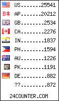 visitors by country counter