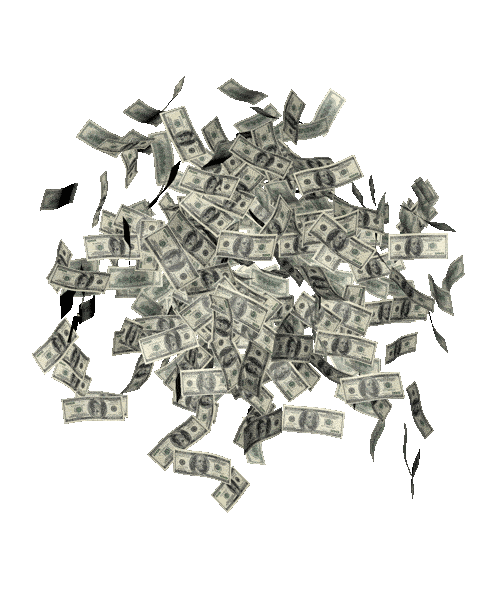 money animated Sticker