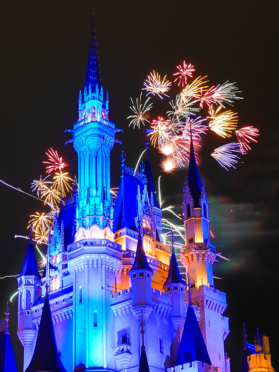 ディズニーランドのカメラ事情 神戸市灘区のむらまつ歯科院長の徒然日記