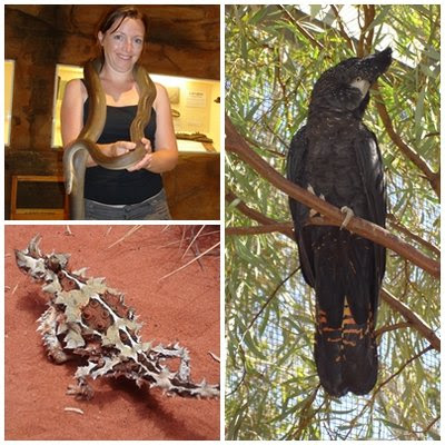 We went to the Desert Park in Alice Springs. It was so much fun.