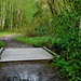 Along the path, Stokkbekken