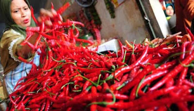 Ambon, Malukupost.com - Harga cabai merah biasa yang ditawarkan pedagang pada tiga lokasi pasar tradisional Kota Ambon, memasuki hari kedua di bulan Januari tahun 2017 melonjak. "Harga cabai merah biasa sudah bergerak naik sejak kemarin dari Rp60.000 menjadi Rp75.000 per kg, baik di Pasar Mardika, Gotong Royong, dan Batu merah," kata Rosmini, pedagang cabai di depan pasar ikan Arumbay kawasan Pasar Mardika, Ambon, Senin (2/1). Dia mengatakan, kenaikan harga cabai di Kota Ambon secara merata terjadi karena produksi lokal yang dibeli dari petani di kawasan Desa Taino, Kecamatan Teluk Ambon sudah didapatkan dengan harga mahal.